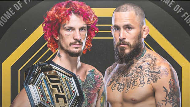 UFC 299